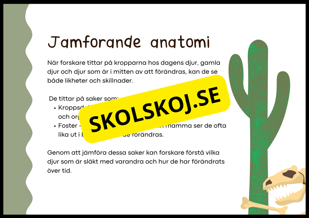 Grundläggande evolution - Årskurs 6 - 9
