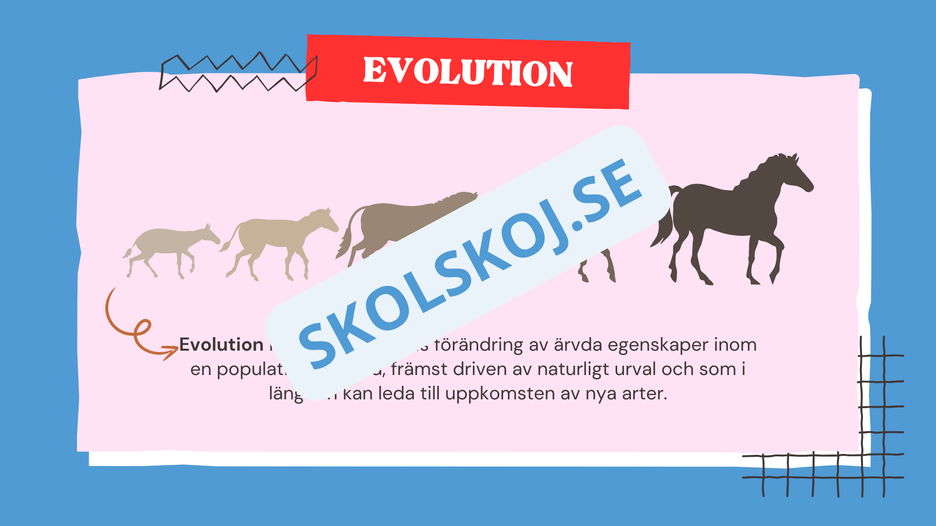 Evolution - Bevisen för hur livet förändras - Årskurs 7 - 9
