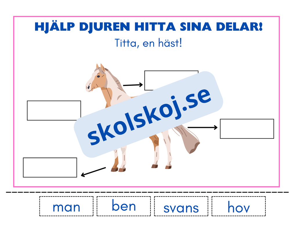 Hjälp djuren hitta sina delar - Häfte