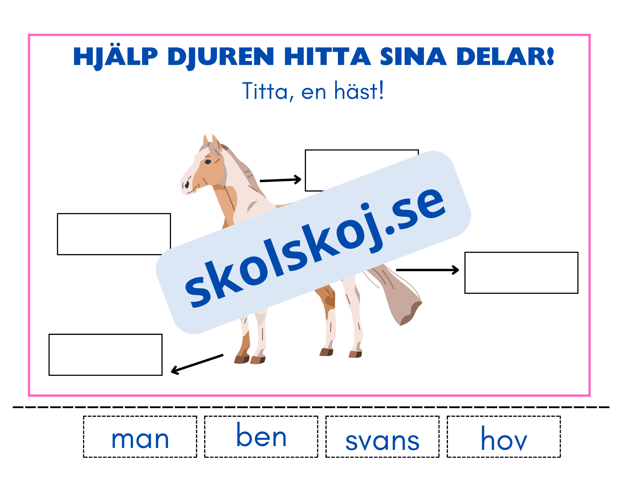 Hjälp djuren hitta sina delar - Häfte