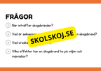 Naturliga katastrofer - Läsförståelse