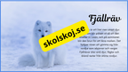 Arktiska djur - Fakta + frågor