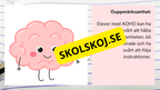 Neurodiversitet, socialt och emotionellt lärande (SEL) och inkludering + frågor