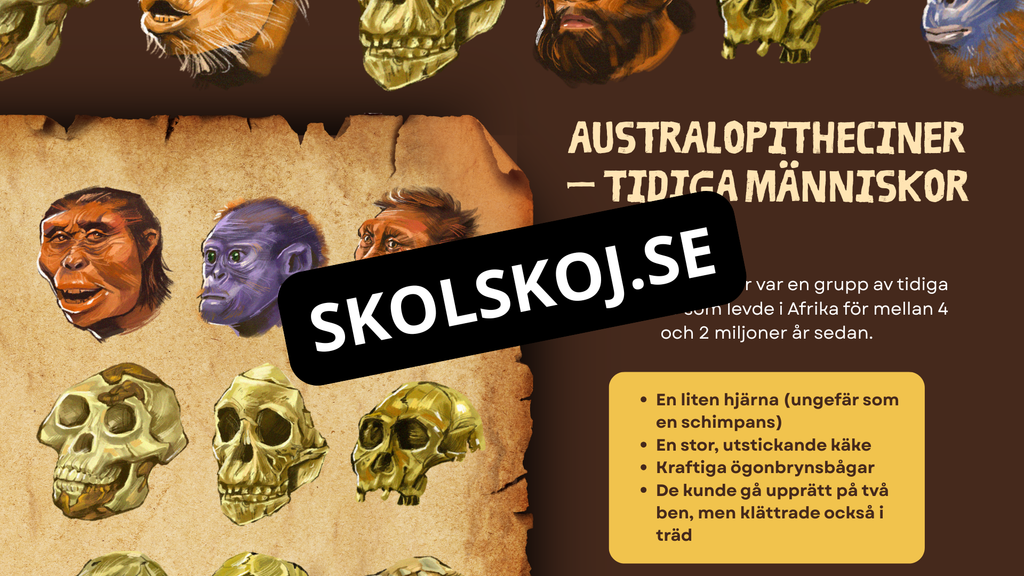 Människans utveckling - Fakta - Presentation - Frågor
