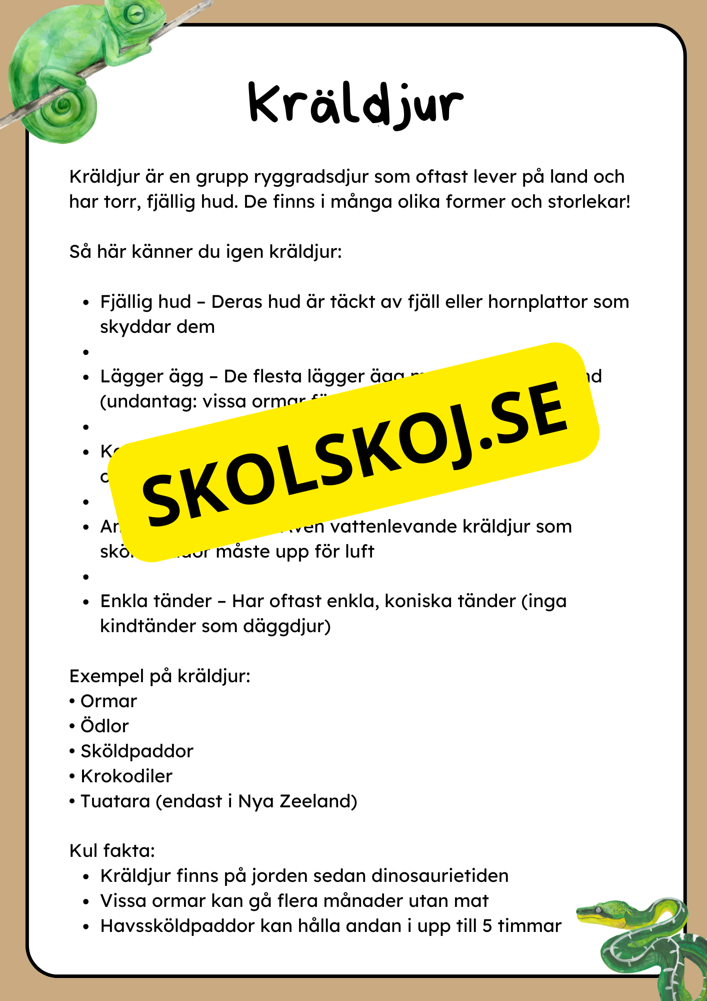 Klassificering av djur - Fakta och uppgifter - Åk 3 - 6