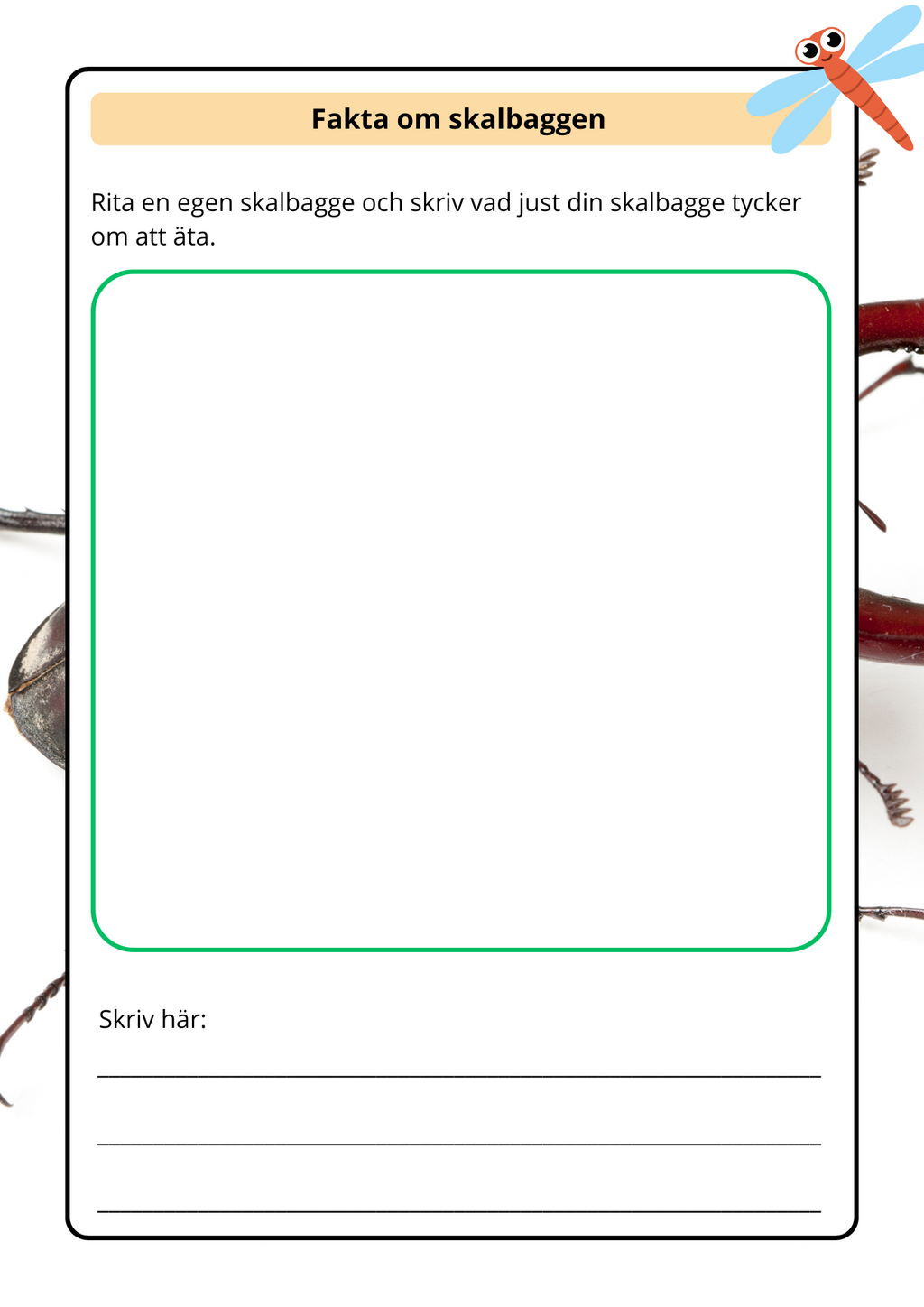 Lilla boken om viktiga insekter - Årskurs 2 - 4