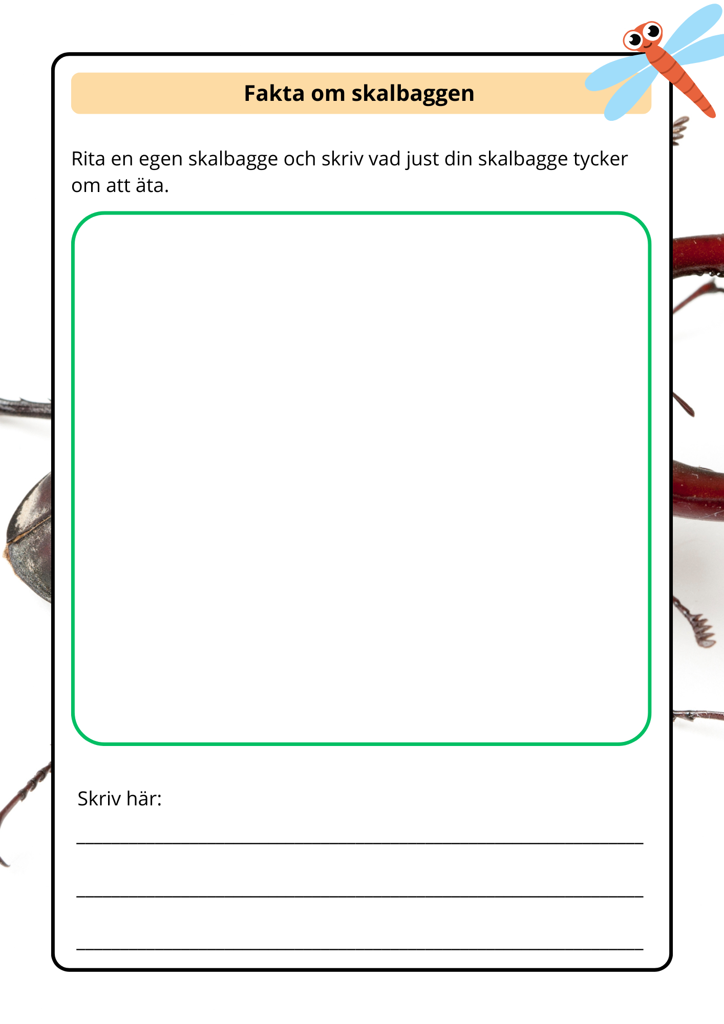 Lilla boken om viktiga insekter - Årskurs 2 - 4