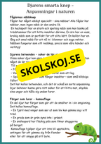 Djur och natur - Årskurs 4 - 6