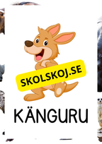 Vilda djur - Bildkort