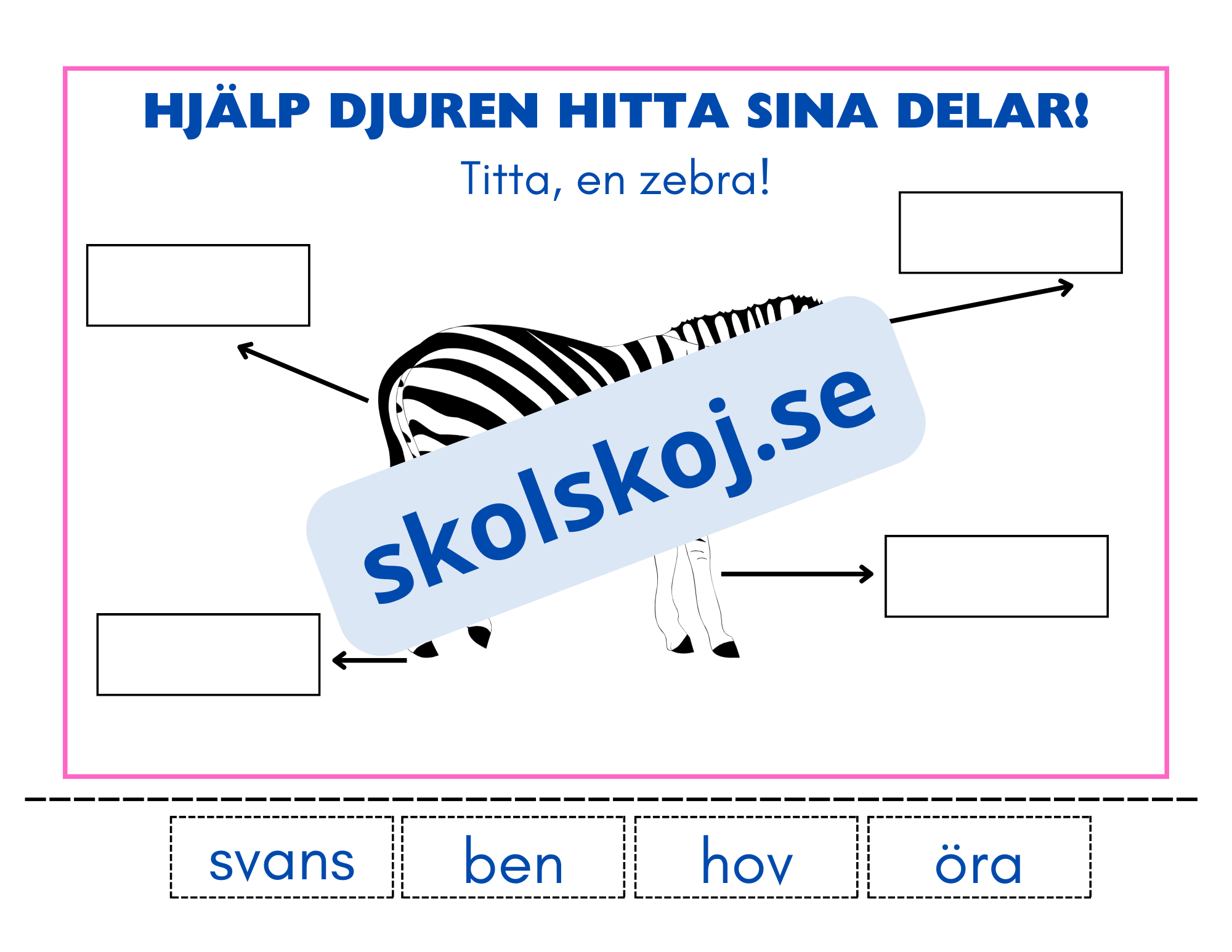 Hjälp djuren hitta sina delar - Häfte