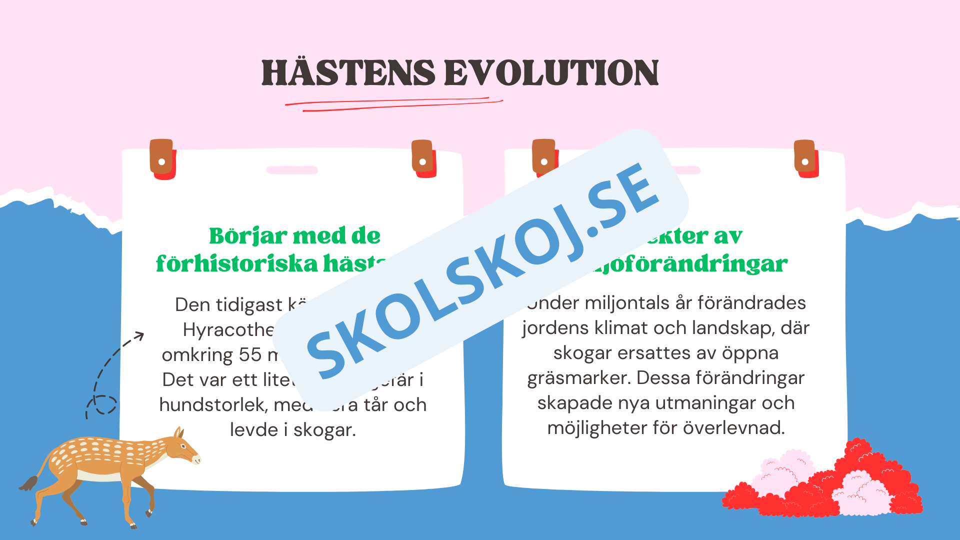 Evolution - Bevisen för hur livet förändras - Årskurs 7 - 9