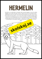 Vilda djur fakta och målarbilder