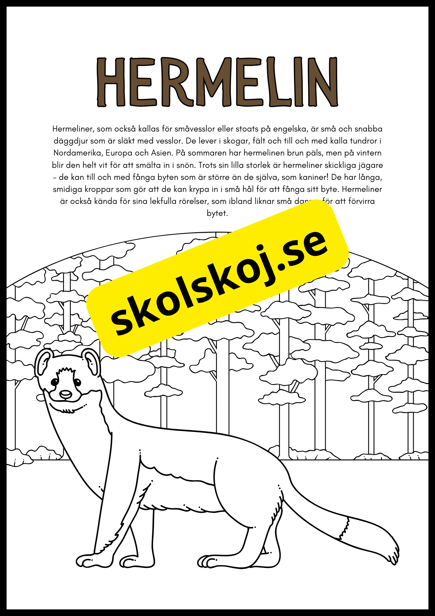 Vilda djur fakta och målarbilder