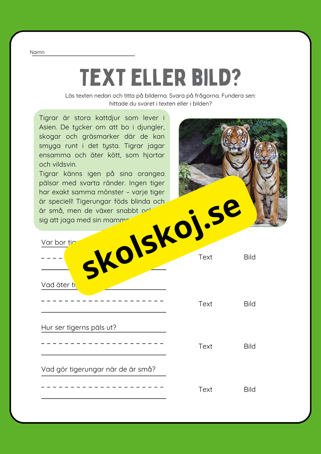 Text eller bild - Läsförståelse
