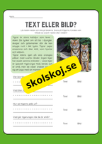 Text eller bild - Läsförståelse
