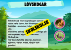 Kort fakta om naturmiljöer och djurens hem + frågor