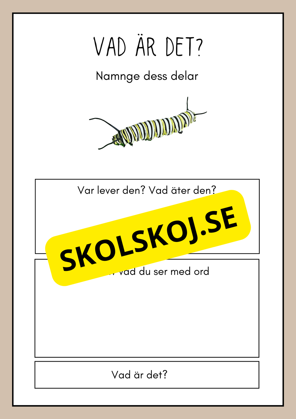 Vad är det? - Insekter - Faktabok