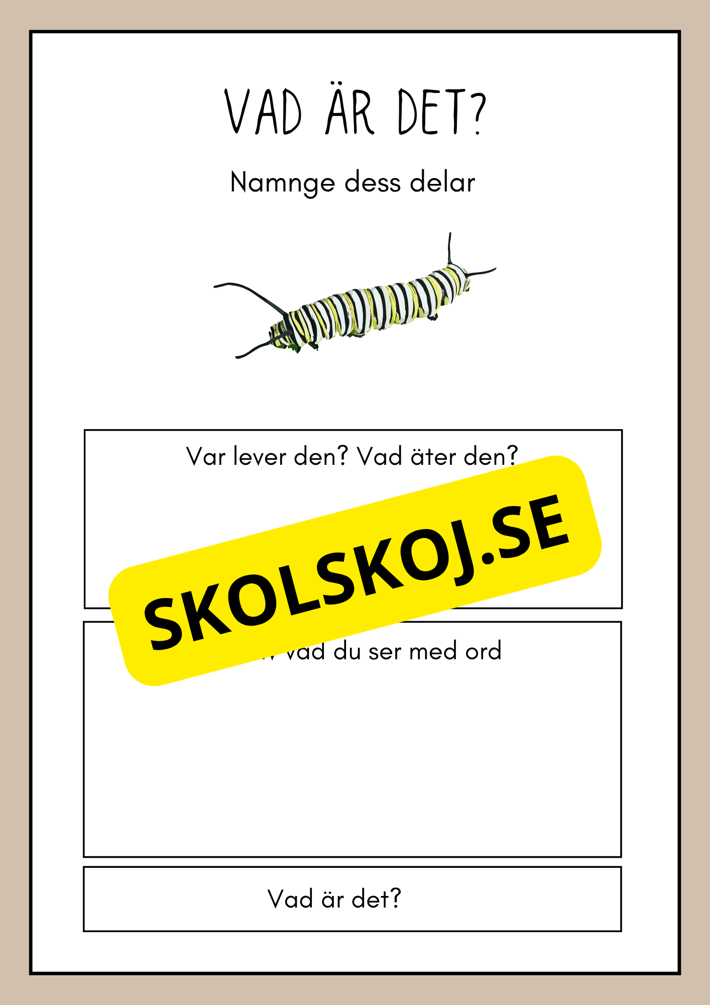 Vad är det? - Insekter - Faktabok