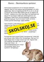 Sveriges landskapsdjur - Häfte - Årskurs 4 - 6 (17 sidor)