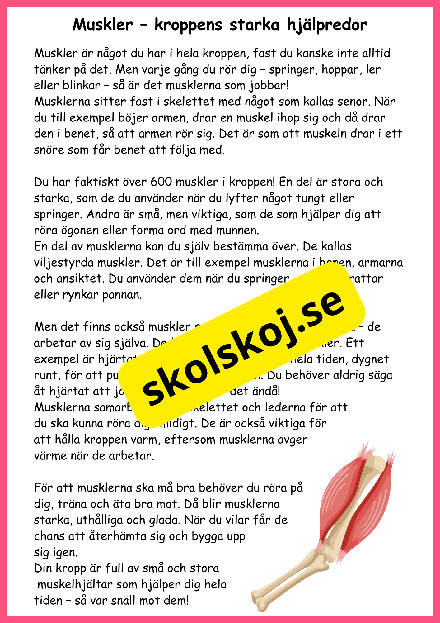 Utforska kroppen från topp till tå - Fakta + frågor - Årskurs 4 - 6