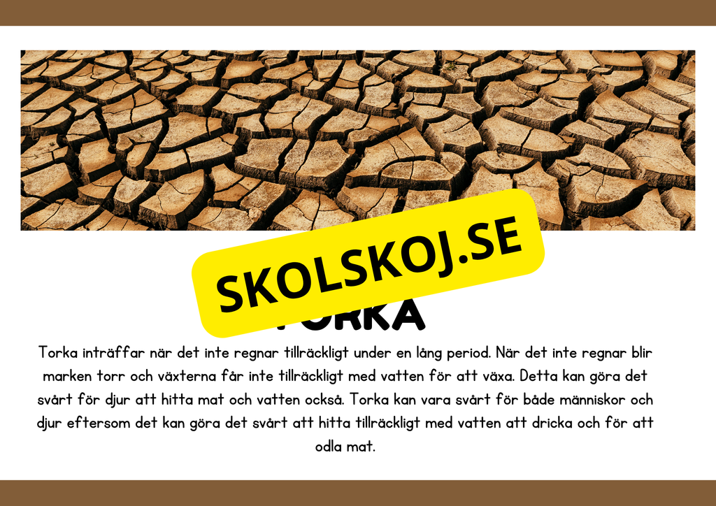 Naturliga katastrofer - Läsförståelse