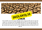 Naturliga katastrofer - Läsförståelse