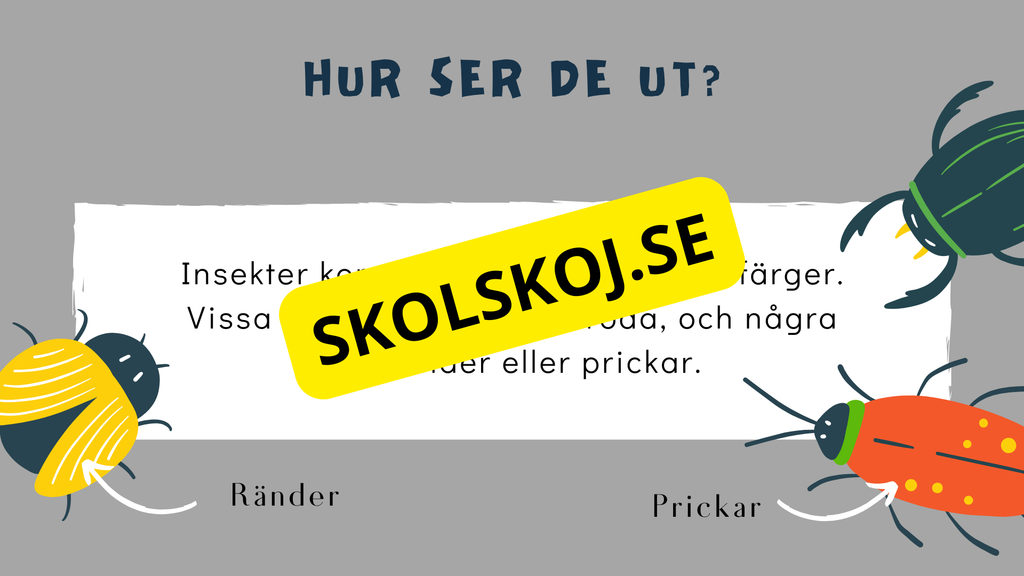 Upptäck insekternas värld - Häfte