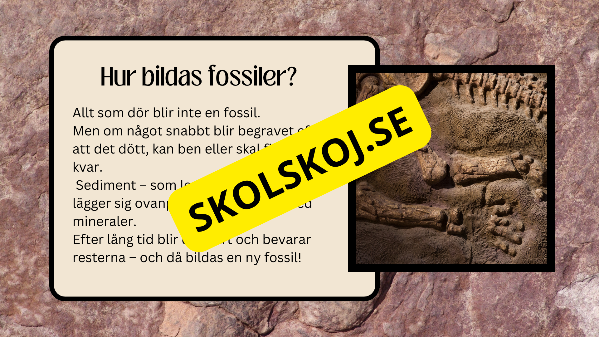 Fossiler - Åk 4 - 9
