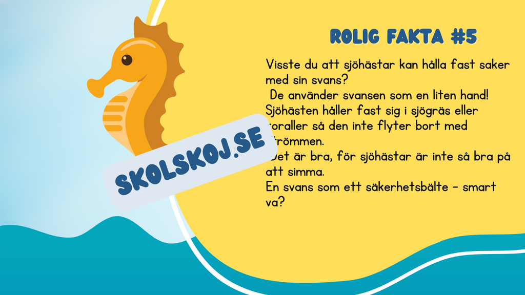 Roliga havsdjursfakta + roliga uppgifter
