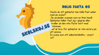 Roliga havsdjursfakta + roliga uppgifter