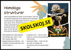 Grundläggande evolution - Årskurs 6 - 9