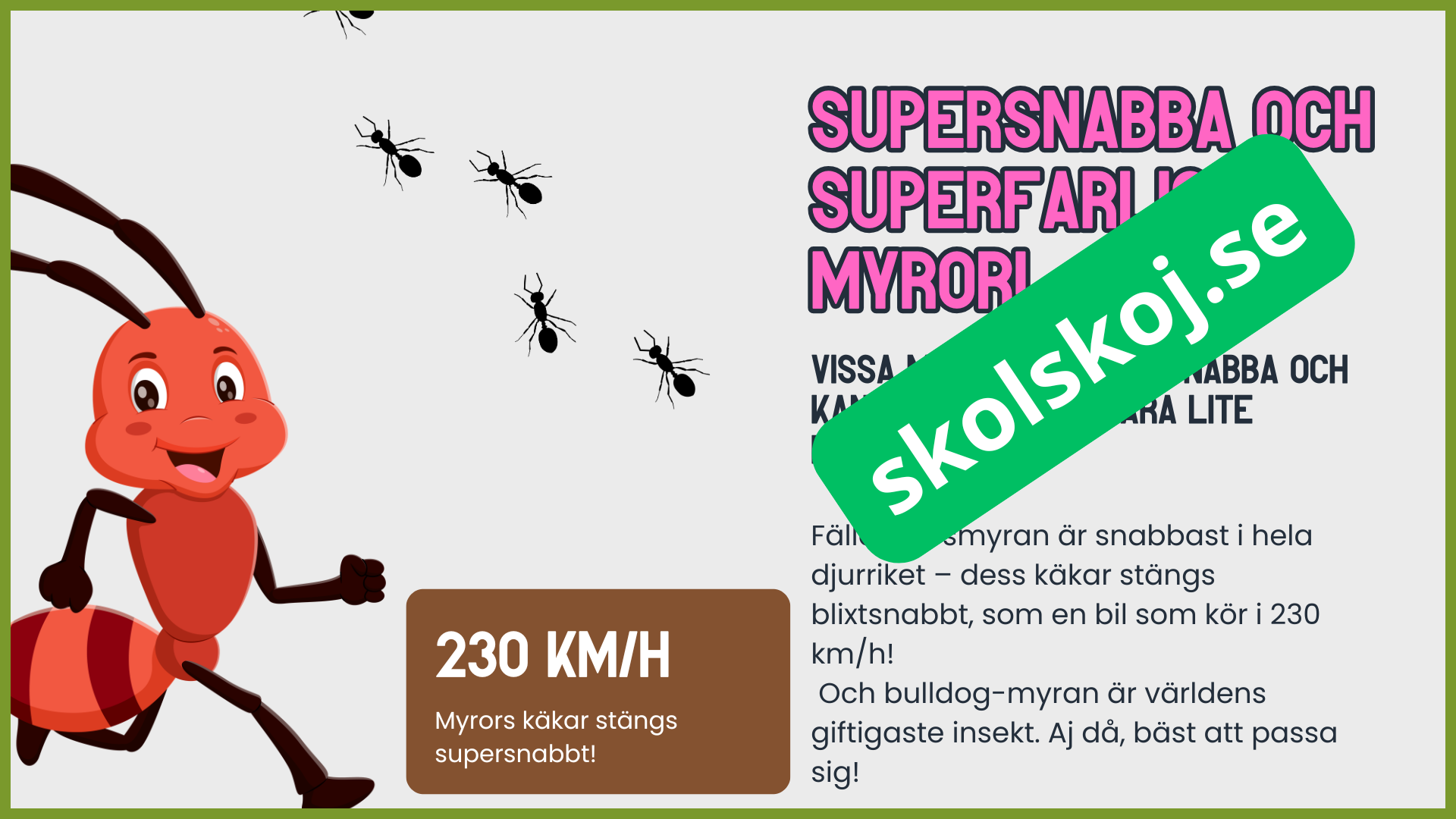 7 superroliga saker du inte visste om myror