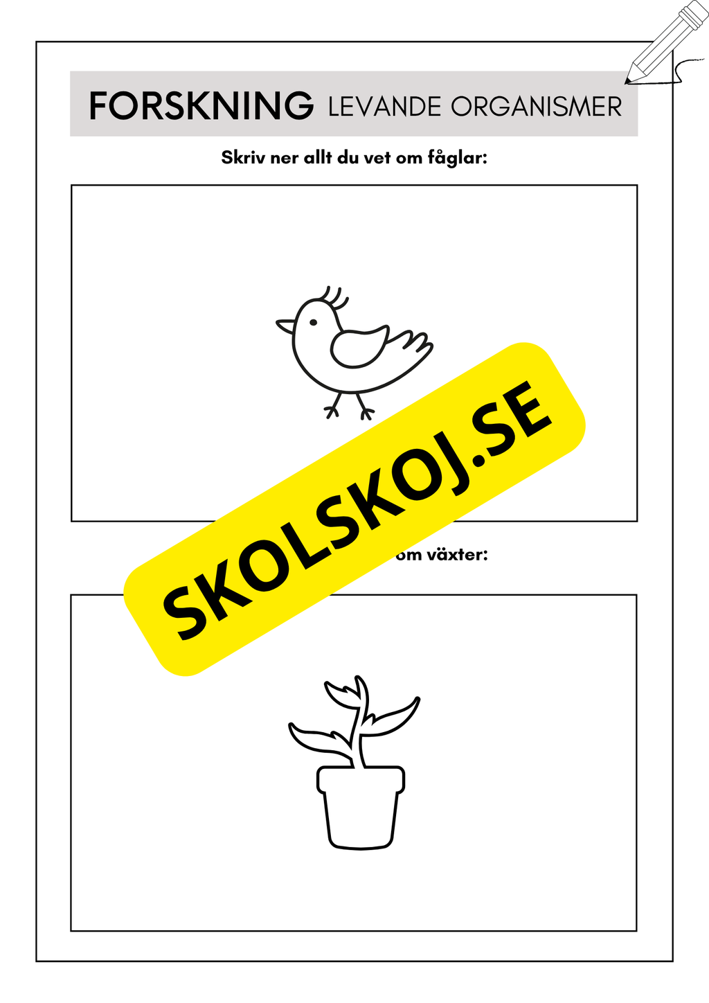 Extra uppgifter - Årskurs 2 - 3