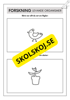 Extra uppgifter - Årskurs 2 - 3