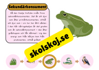 Näringskedjor - Ekosystem och livsmiljöer