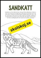 Vilda djur fakta och målarbilder