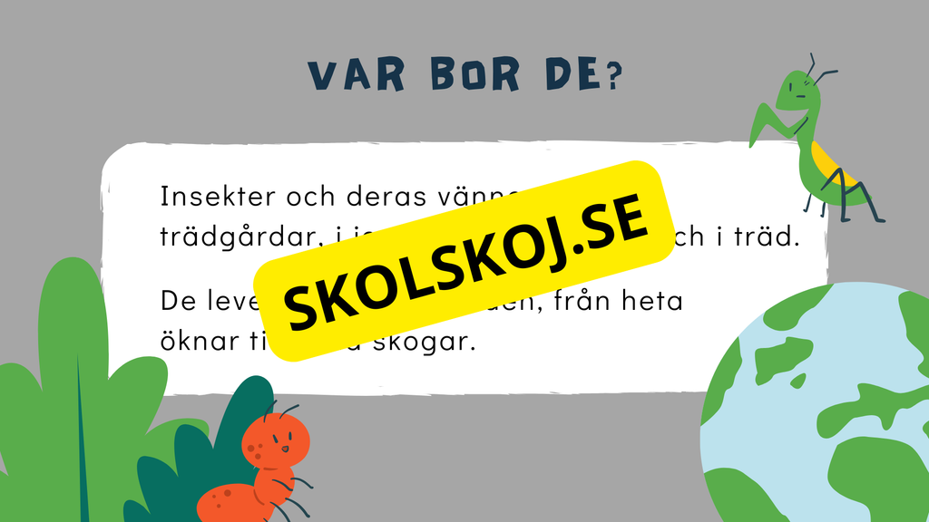 Upptäck insekternas värld - Häfte