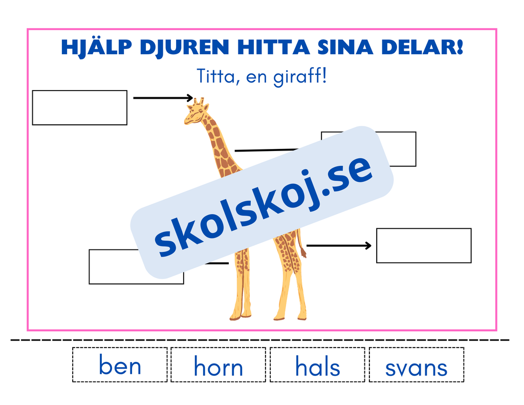 Hjälp djuren hitta sina delar - Häfte