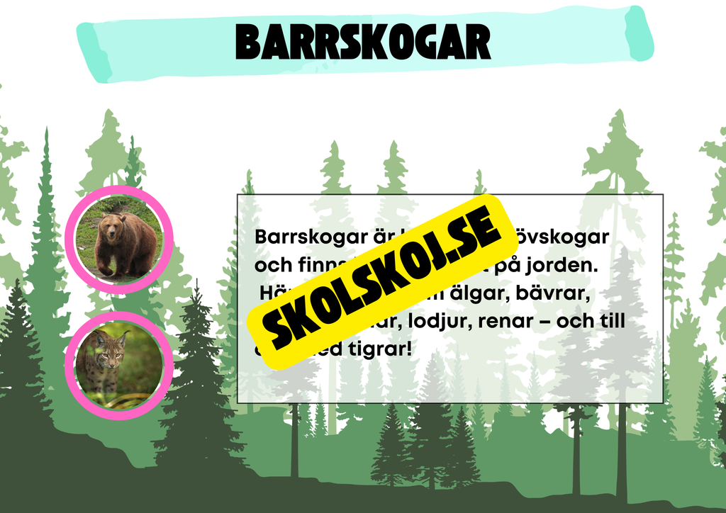 Kort fakta om naturmiljöer och djurens hem + frågor