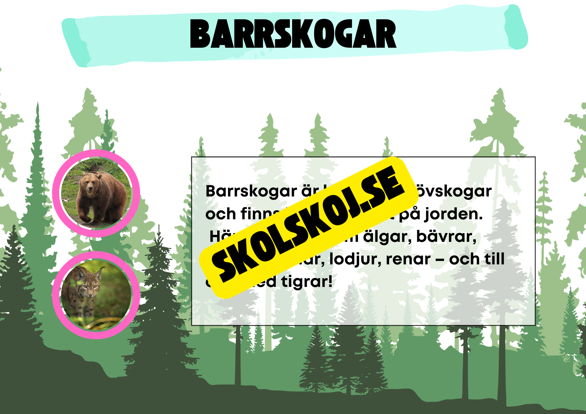 Kort fakta om naturmiljöer och djurens hem + frågor