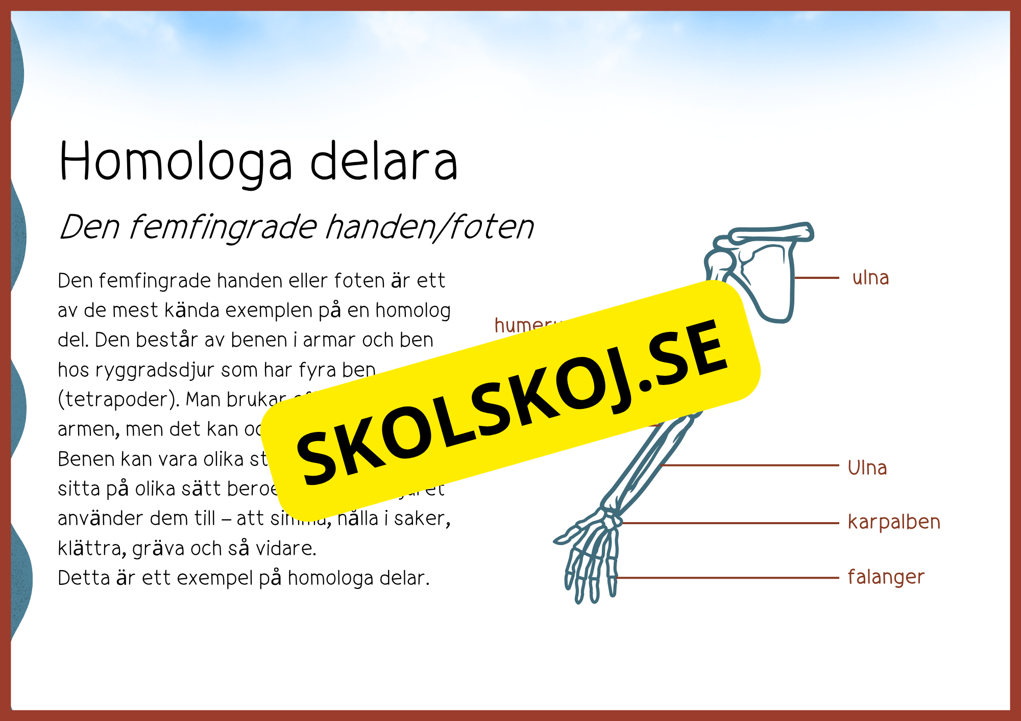 Evolution - Faktatext + frågor