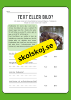 Text eller bild - Läsförståelse