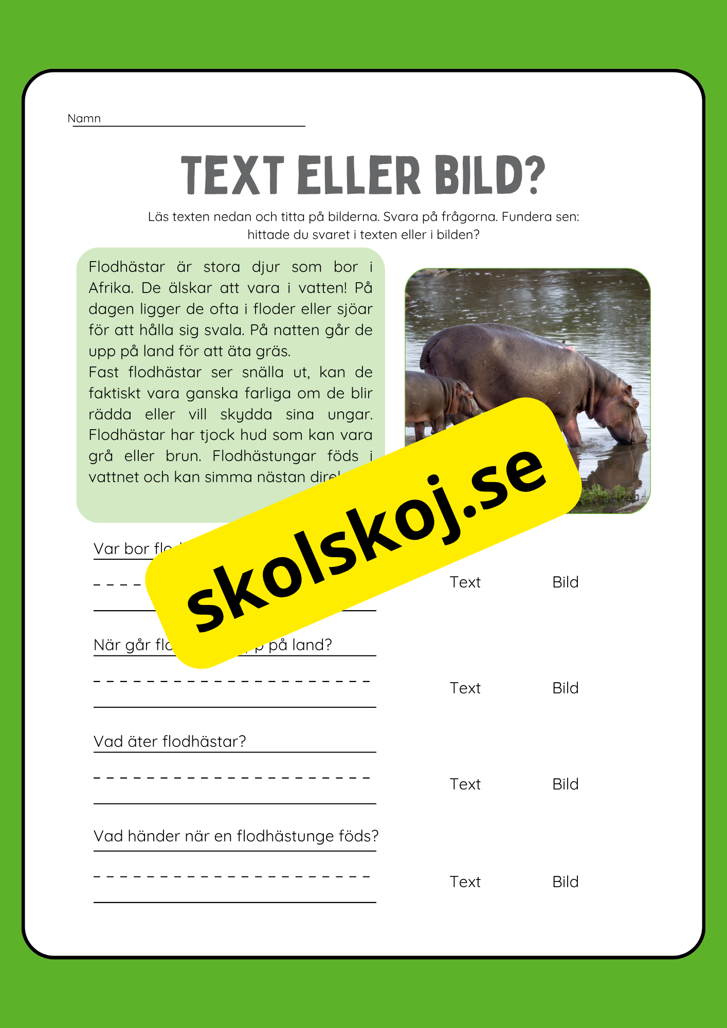 Text eller bild - Läsförståelse