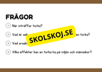 Naturliga katastrofer - Läsförståelse