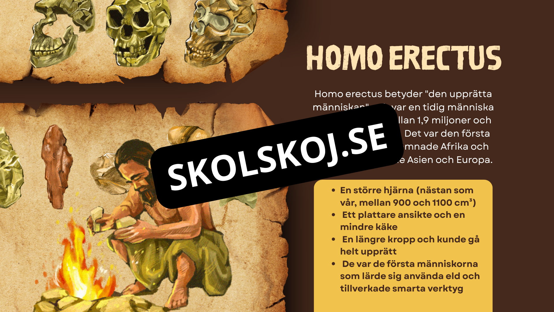 Människans utveckling - Fakta - Presentation - Frågor