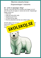 Djur och natur - Årskurs 4 - 6