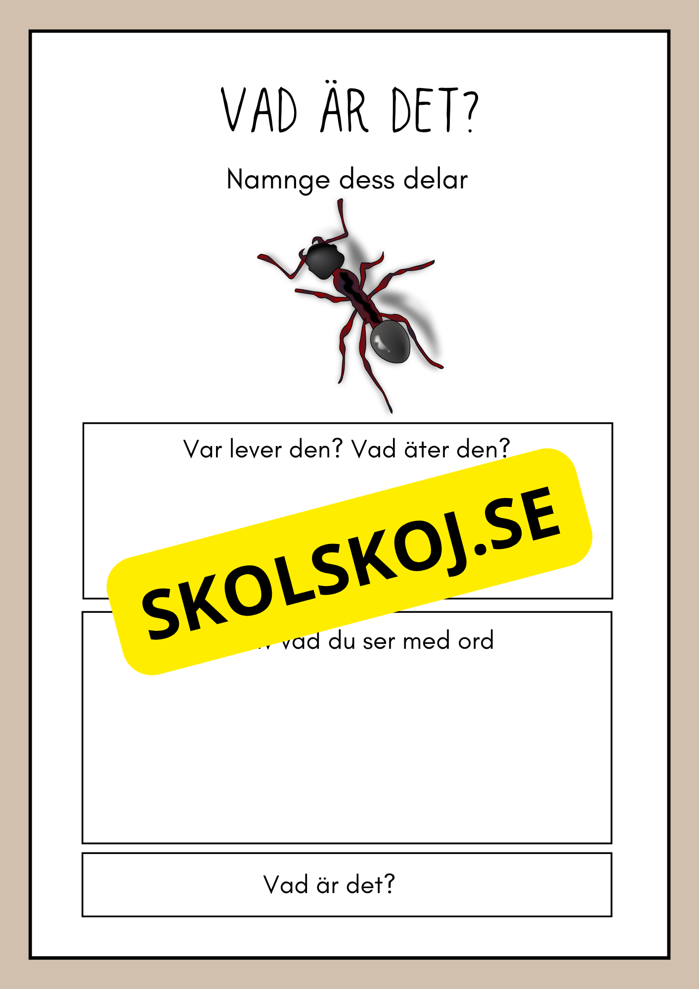 Vad är det? - Insekter - Faktabok