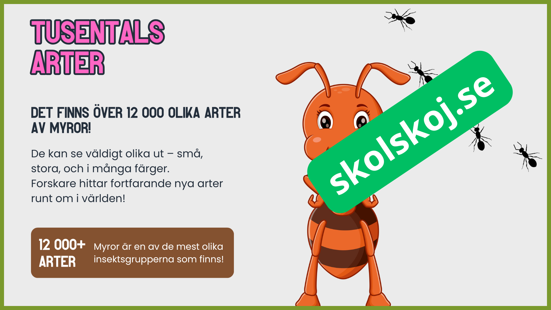 7 superroliga saker du inte visste om myror