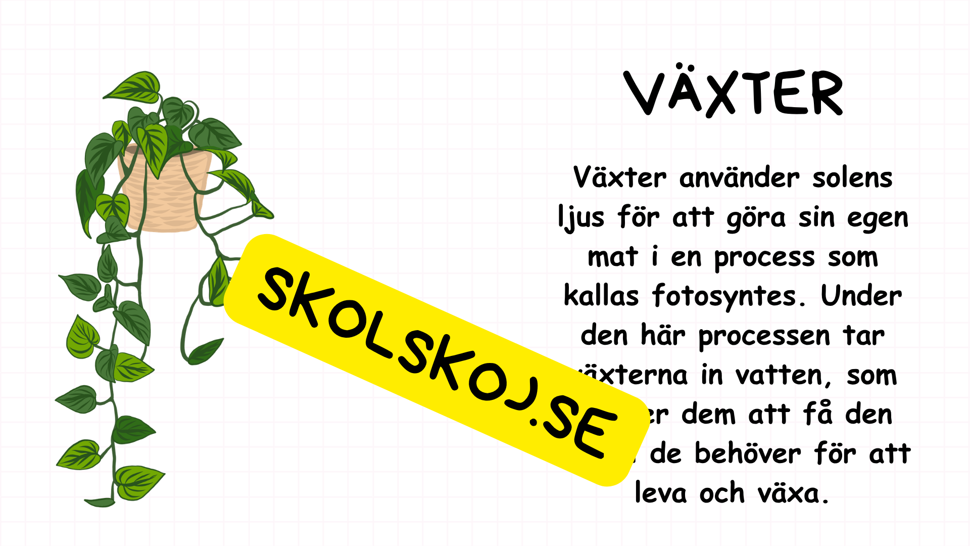 Vad är vatten - Presentation - Frågor