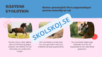 Evolution - Bevisen för hur livet förändras - Årskurs 7 - 9